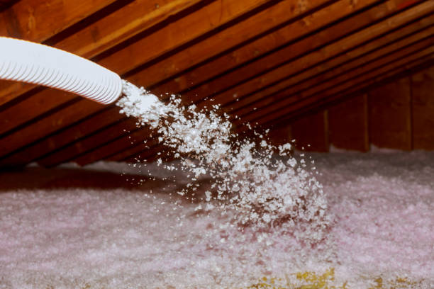 Best Residential Insulation in Hondo, TX